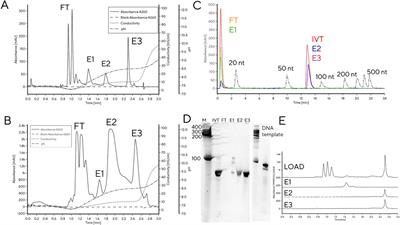 HPLC for at-line reaction monitoring and purification improves yield and purity of tRNA